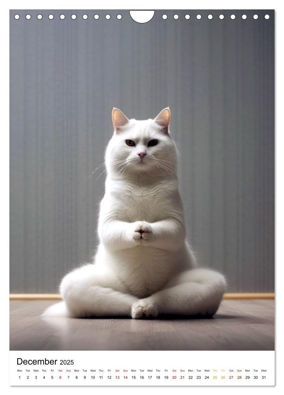 Bild: 9781325998203 | Meow Yoga (Wall Calendar 2025 DIN A4 portrait), CALVENDO 12 Month...