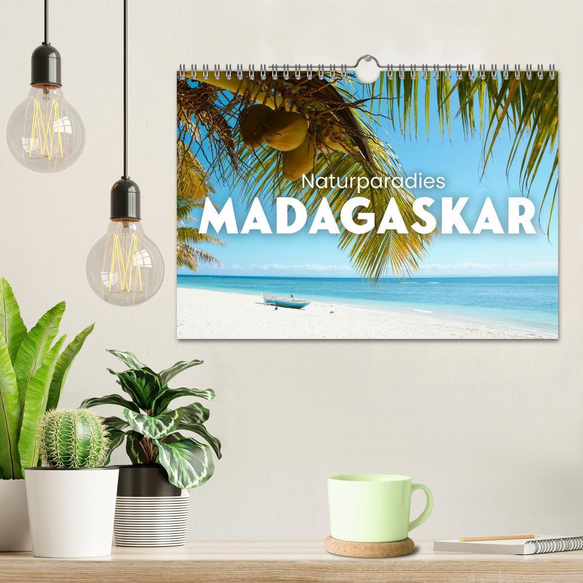 Bild: 9783383998409 | Naturparadies Madagaskar (Wandkalender 2025 DIN A4 quer), CALVENDO...