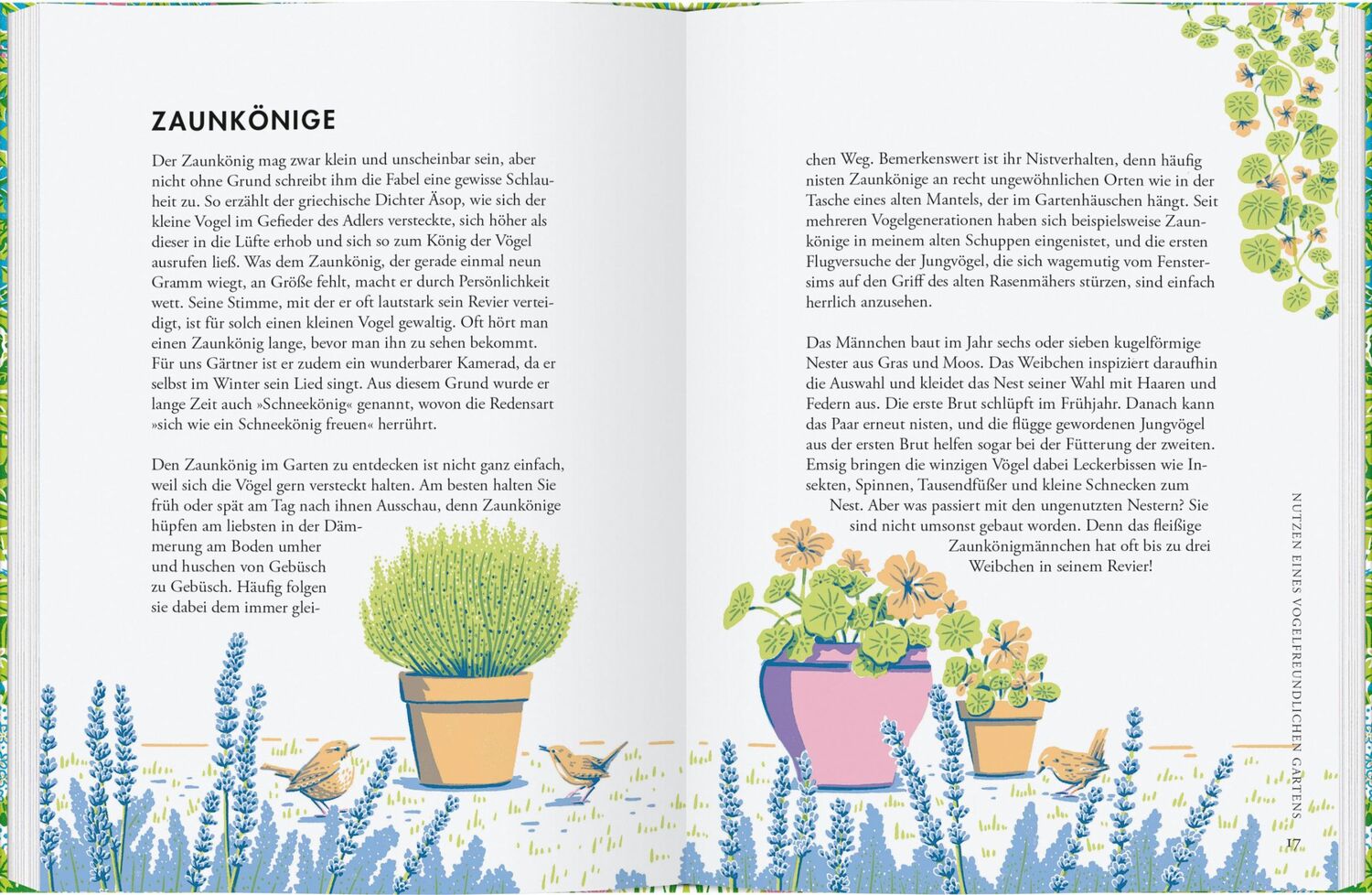 Bild: 9783836921909 | Pflanzen für Gartenvögel | Jane Moore | Buch | 144 S. | Deutsch | 2022