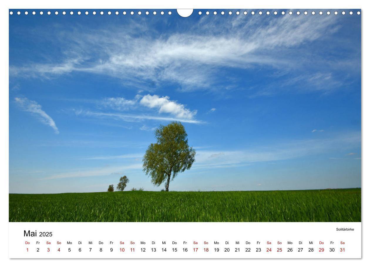 Bild: 9783435453429 | Tollense Landschaften (Wandkalender 2025 DIN A3 quer), CALVENDO...