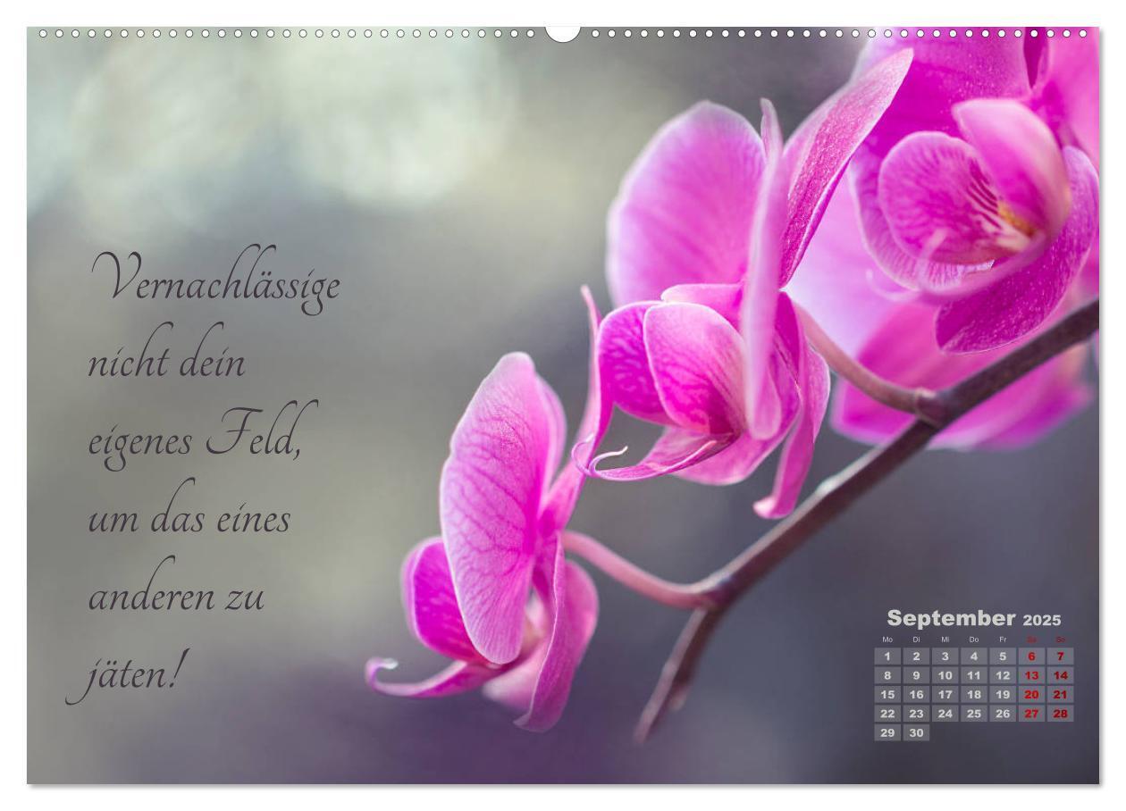 Bild: 9783435244874 | Chinesische Weisheiten (hochwertiger Premium Wandkalender 2025 DIN...