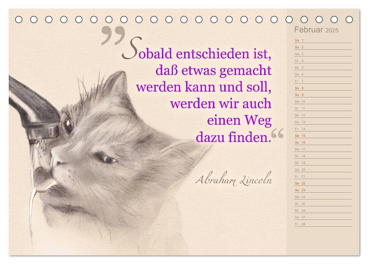 Bild: 9783435454396 | Von Katzen lernen (Tischkalender 2025 DIN A5 quer), CALVENDO...