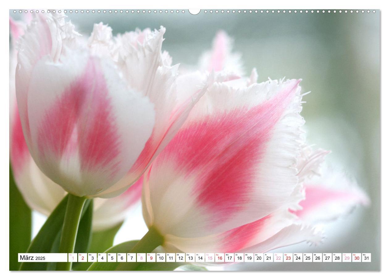 Bild: 9783383826894 | Blumenpracht - Blüten und Sträuße (Wandkalender 2025 DIN A2 quer),...