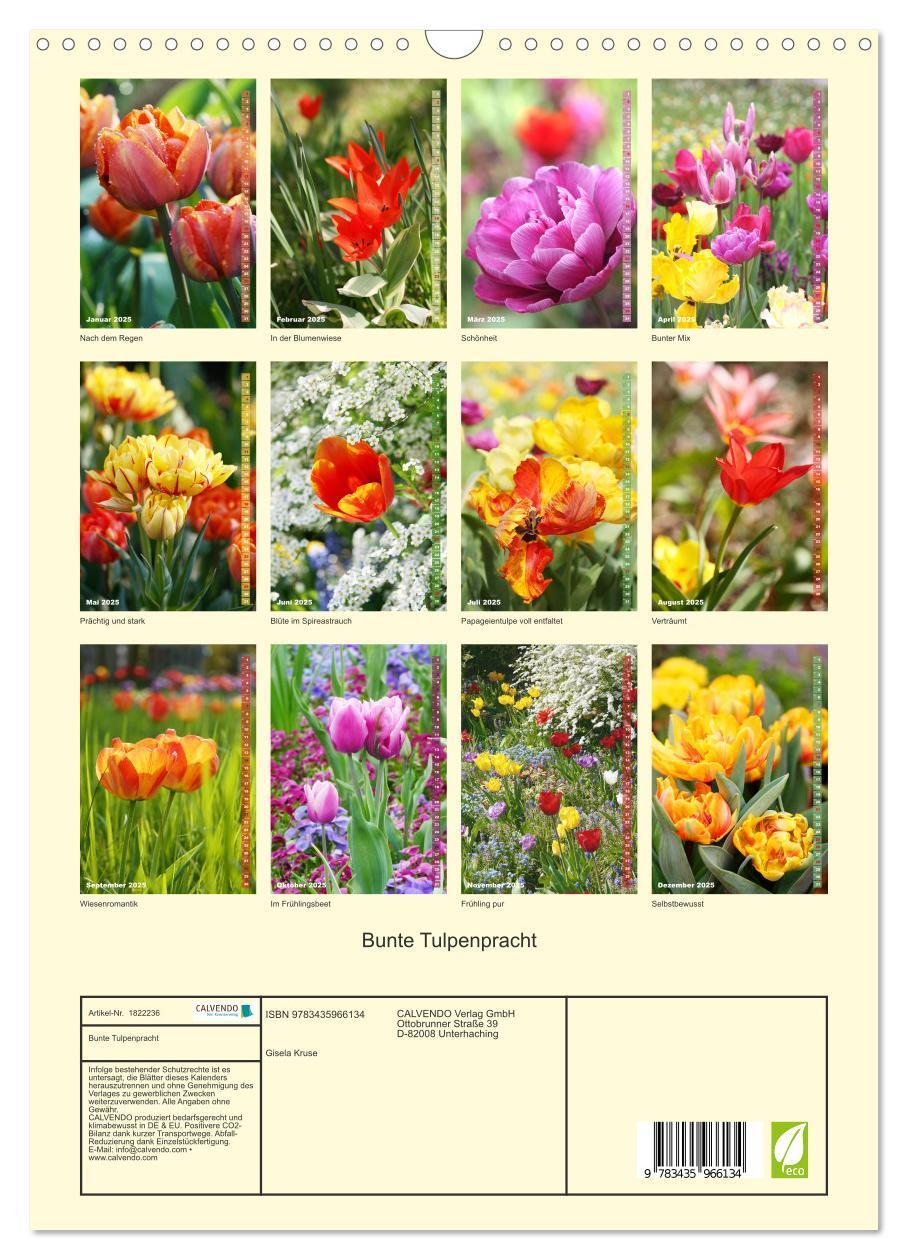 Bild: 9783435966134 | Bunte Tulpenpracht (Wandkalender 2025 DIN A3 hoch), CALVENDO...