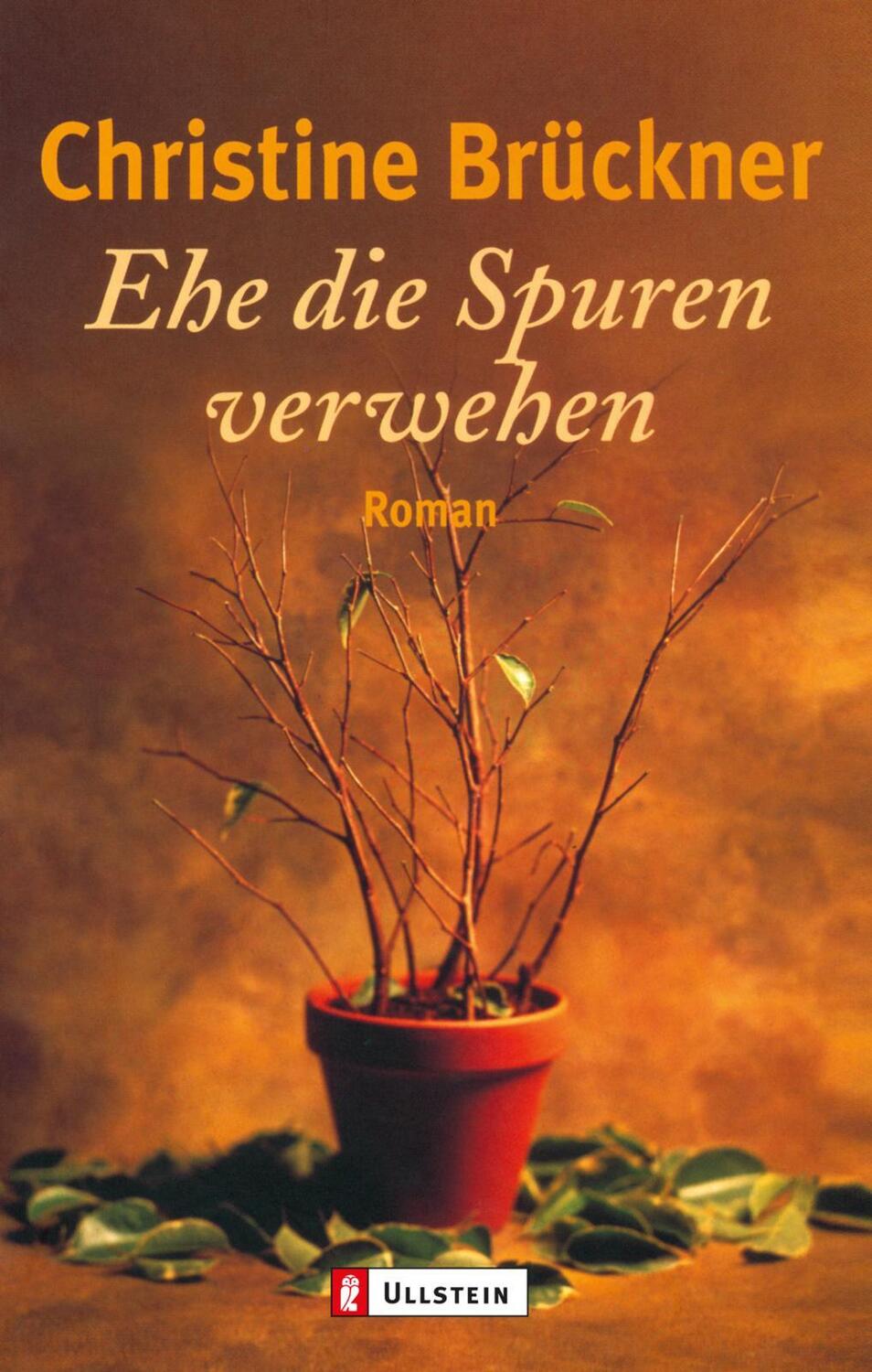 Cover: 9783548224367 | Ehe die Spuren verwehen | Christine Brückner | Taschenbuch | 224 S.