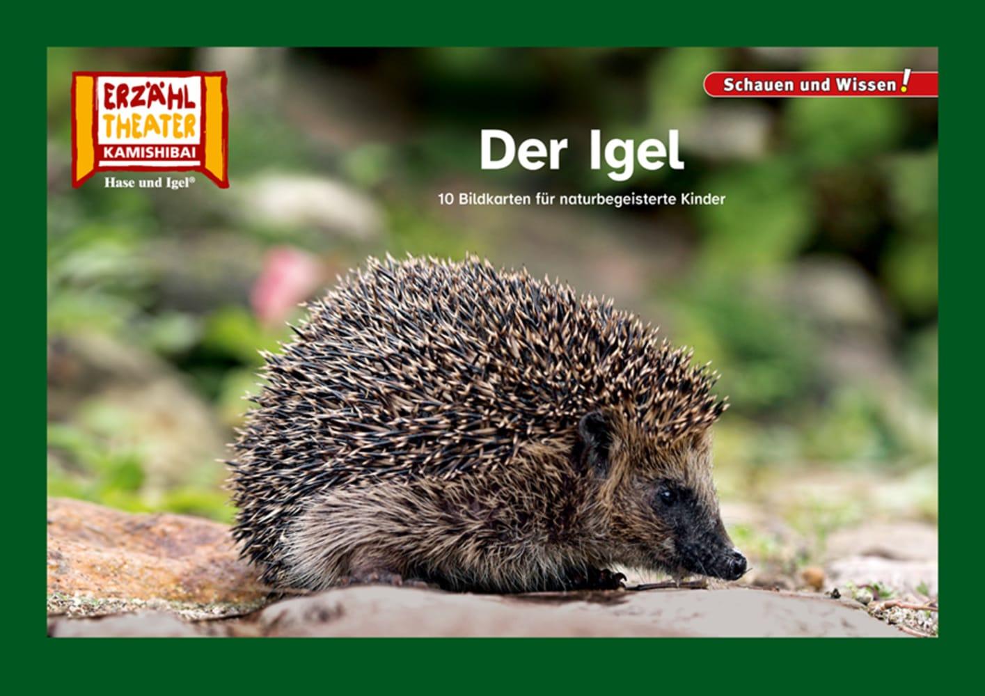 Cover: 4260505832858 | Der Igel / Kamishibai Bildkarten | Taschenbuch | Schauen und Wissen!