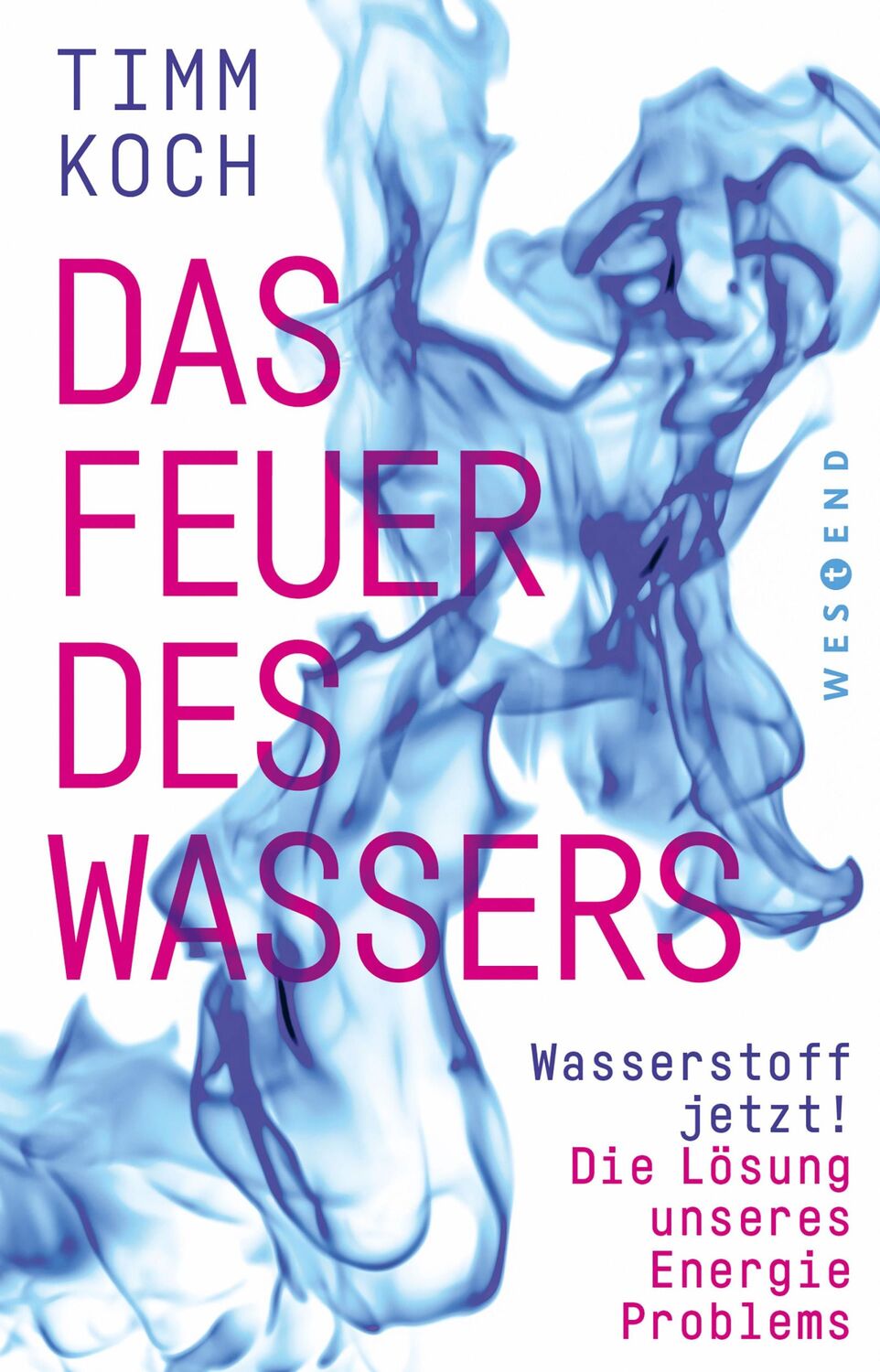 Cover: 9783864899164 | Das Feuer des Wassers | Timm Koch | Taschenbuch | 240 S. | Deutsch