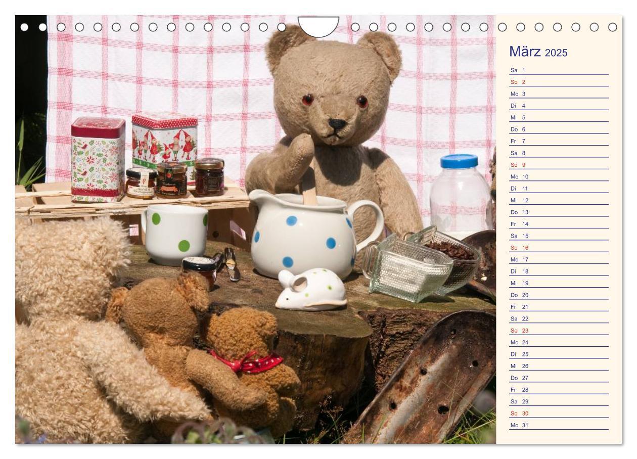 Bild: 9783435508235 | Geliebte Bären - Teddys (Wandkalender 2025 DIN A4 quer), CALVENDO...