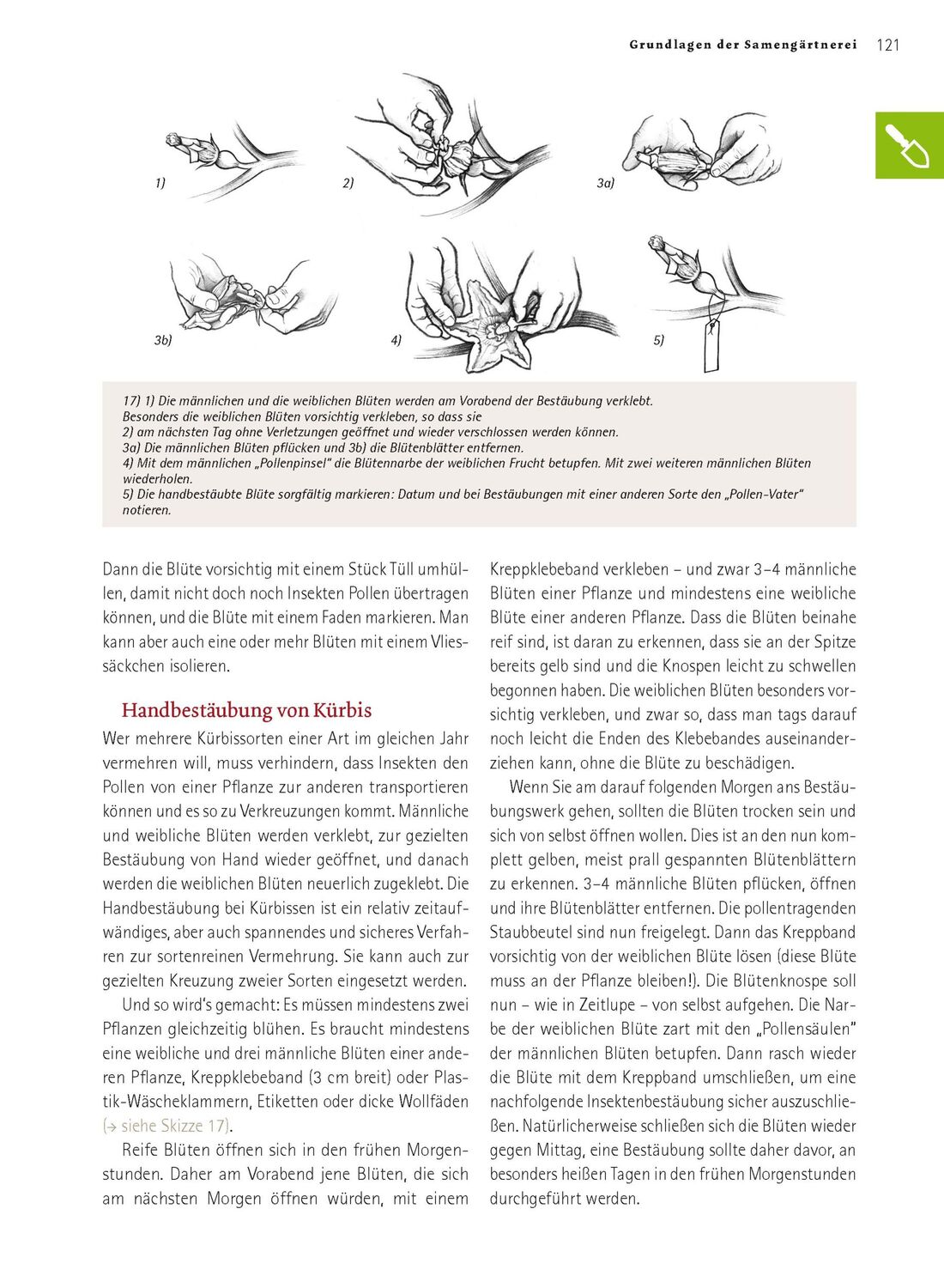 Bild: 9783706625166 | Das große Biogarten-Buch | Andrea Heistinger | Buch | 624 S. | Deutsch