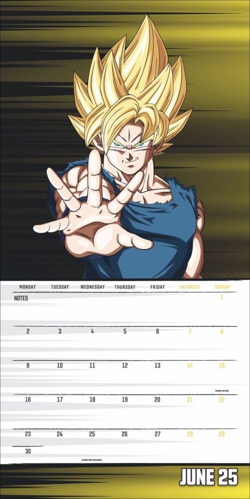 Bild: 9783840196881 | Dragon Ball Z Broschurkalender 2025 | Kalender | 28 S. | Englisch