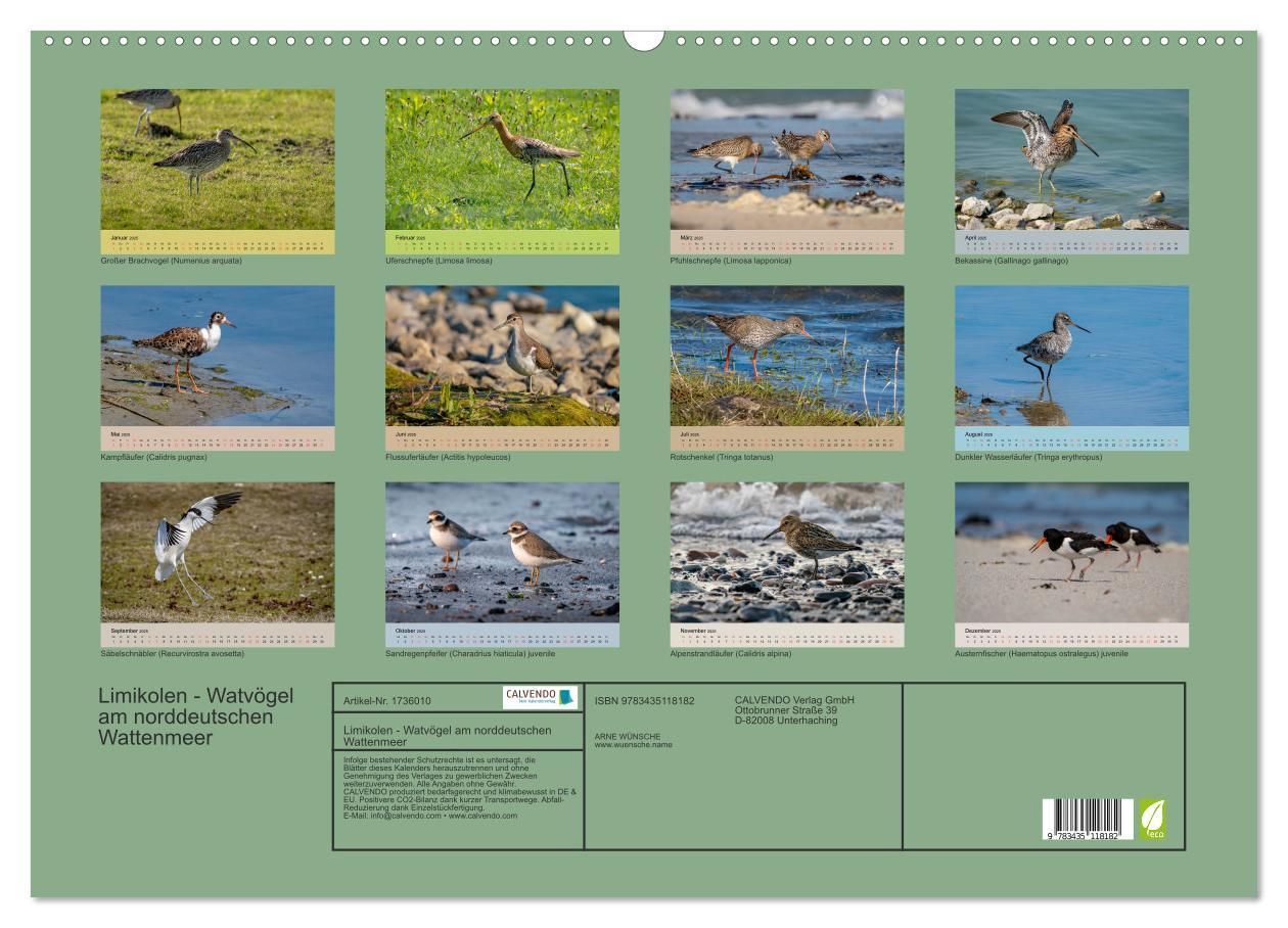 Bild: 9783435118182 | Limikolen - Watvögel am norddeutschen Wattenmeer (Wandkalender 2025...