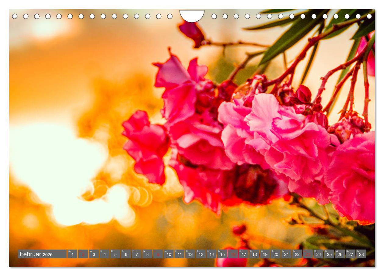 Bild: 9783435223114 | Madeira - Insel der Blumen 2025 (Wandkalender 2025 DIN A4 quer),...