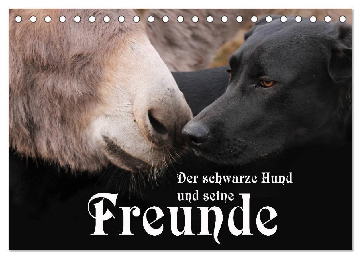 Cover: 9783435661275 | Der schwarze Hund und seine Freunde (Tischkalender 2025 DIN A5...