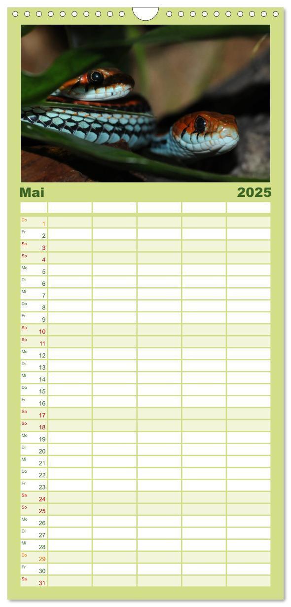 Bild: 9783457125281 | Familienplaner 2025 - Schlangen mit 5 Spalten (Wandkalender, 21 x...