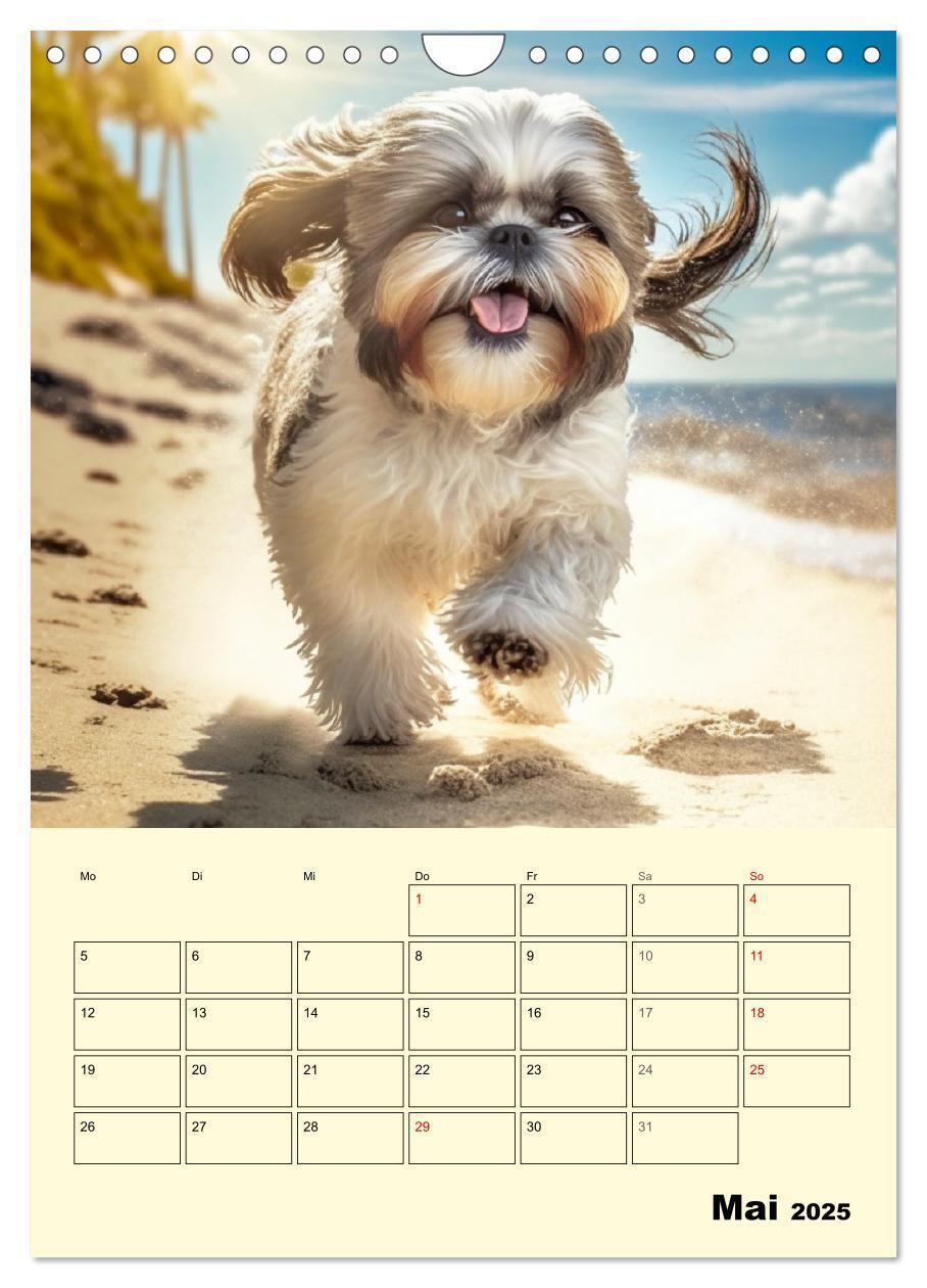 Bild: 9783435869749 | Shih Tzu Alarm. Glückliche Wuschelköpfe (Wandkalender 2025 DIN A4...