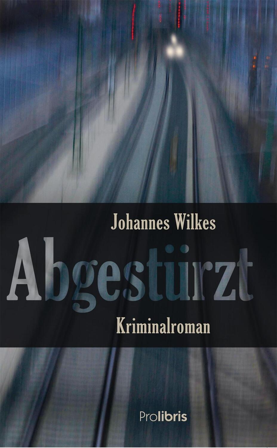 Cover: 9783954751877 | Abgestürzt | Franken-Krimi | Johannes Wilkes | Taschenbuch | 226 S.