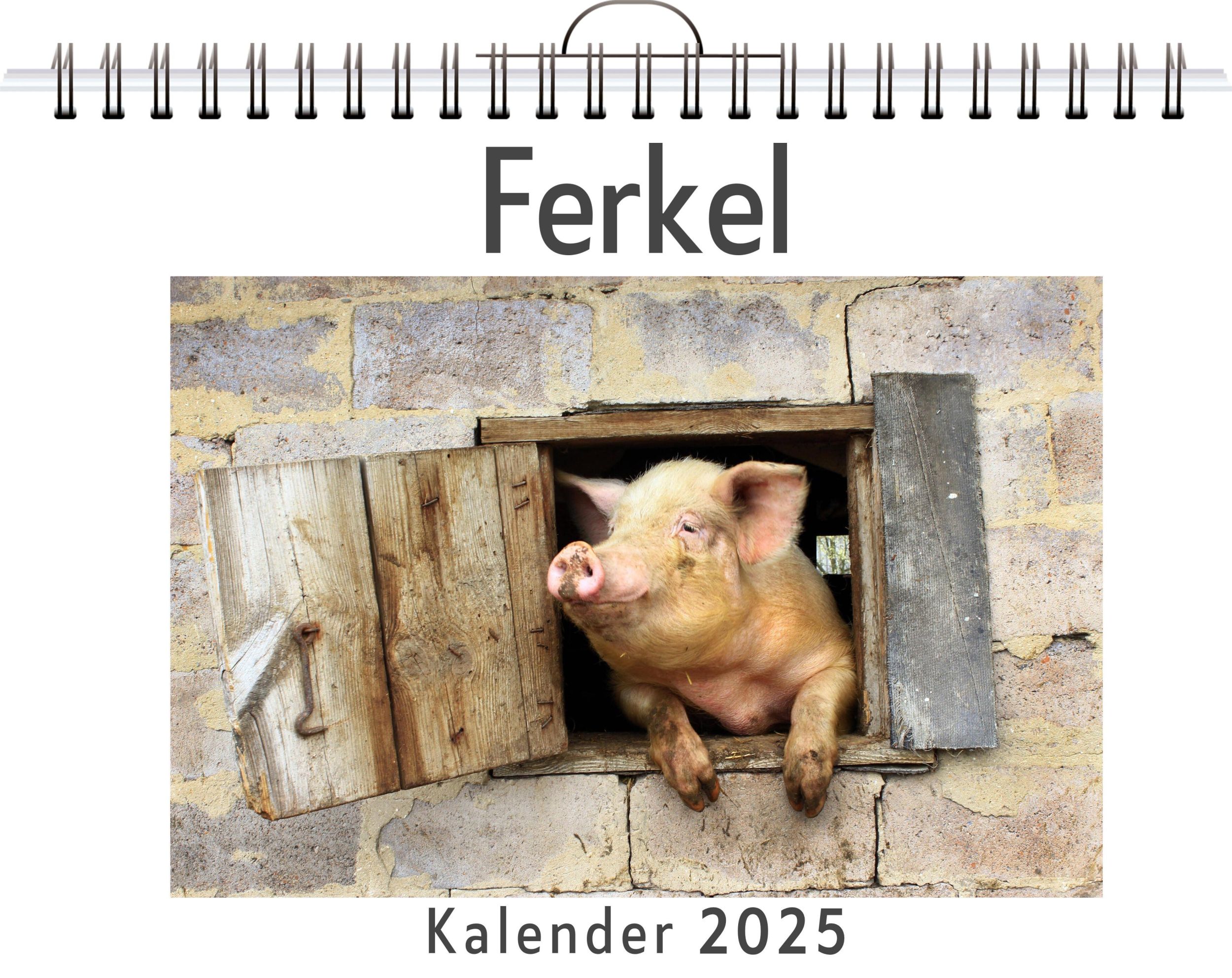 Cover: 9783759122599 | Ferkel - (Wandkalender 2025, Kalender DIN A4 quer, Monatskalender...