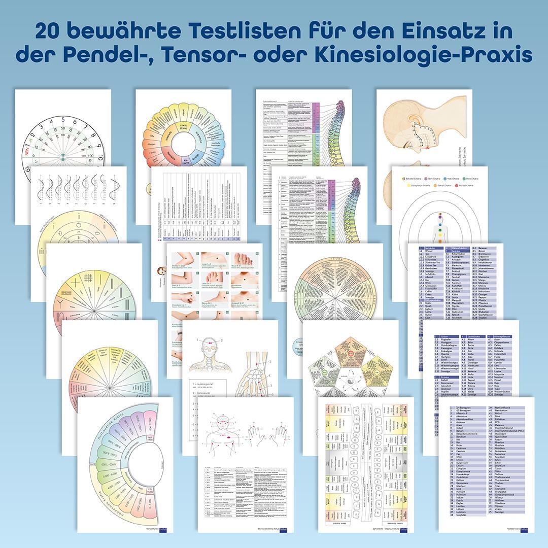 Bild: 9783863741068 | Praxisbuch Neue Homöopathie | Christina Baumann (u. a.) | Taschenbuch