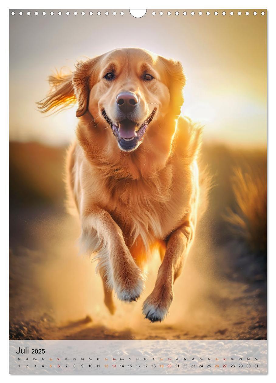 Bild: 9783435880799 | Golden Retriever - ein Hund für die Familie (Wandkalender 2025 DIN...