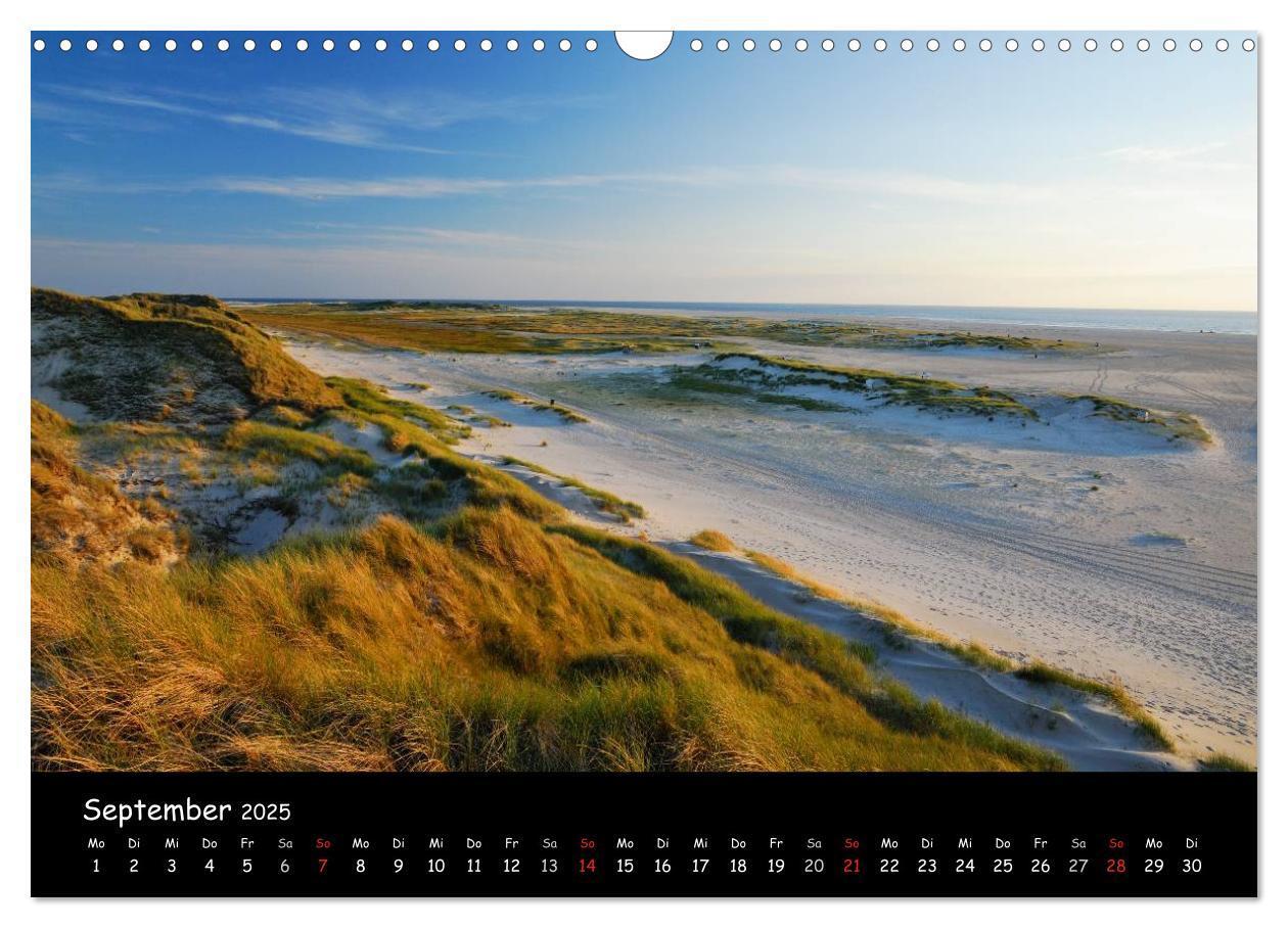 Bild: 9783435827275 | Amrum (Wandkalender 2025 DIN A3 quer), CALVENDO Monatskalender | 2025