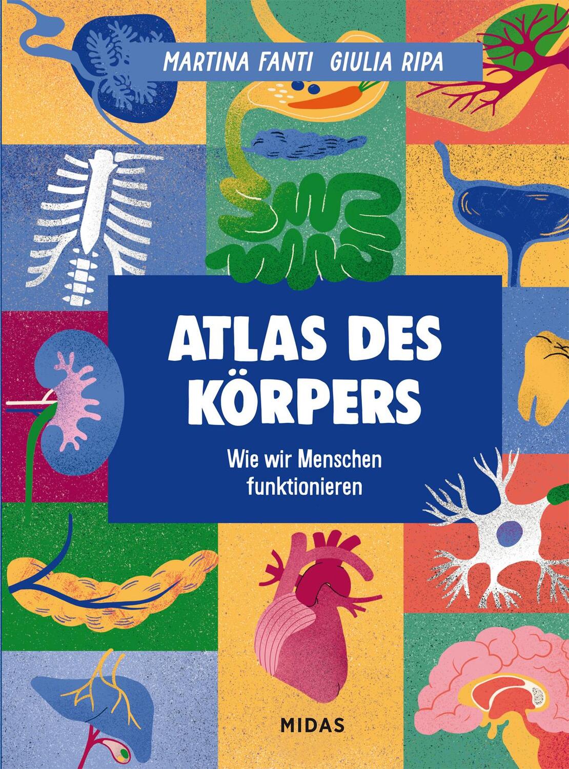 Cover: 9783038763079 | Atlas des Körpers | Wie wir Menschen funktionieren | Martina Fanti