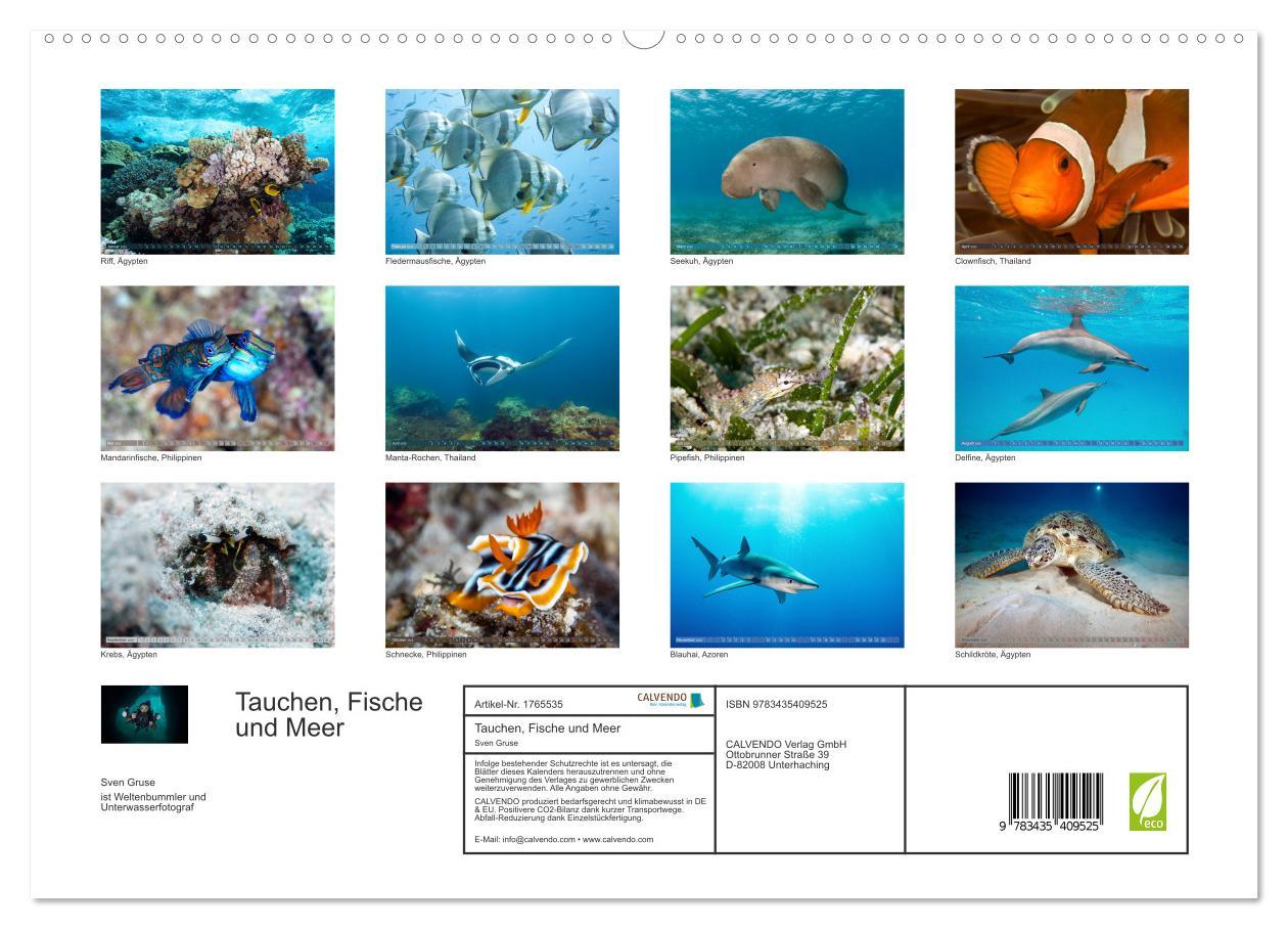 Bild: 9783435409525 | Tauchen, Fische und Meer (Wandkalender 2025 DIN A2 quer), CALVENDO...