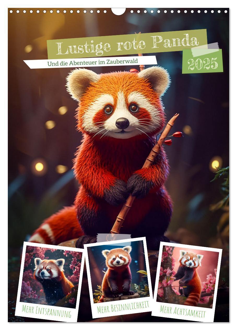 Cover: 9783435876235 | Lustige rote Panda (Wandkalender 2025 DIN A3 hoch), CALVENDO...