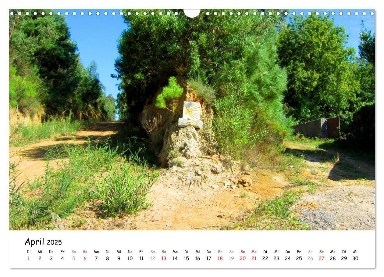 Bild: 9783435557875 | Jakobsweg - Camino Portugues (Wandkalender 2025 DIN A3 quer),...