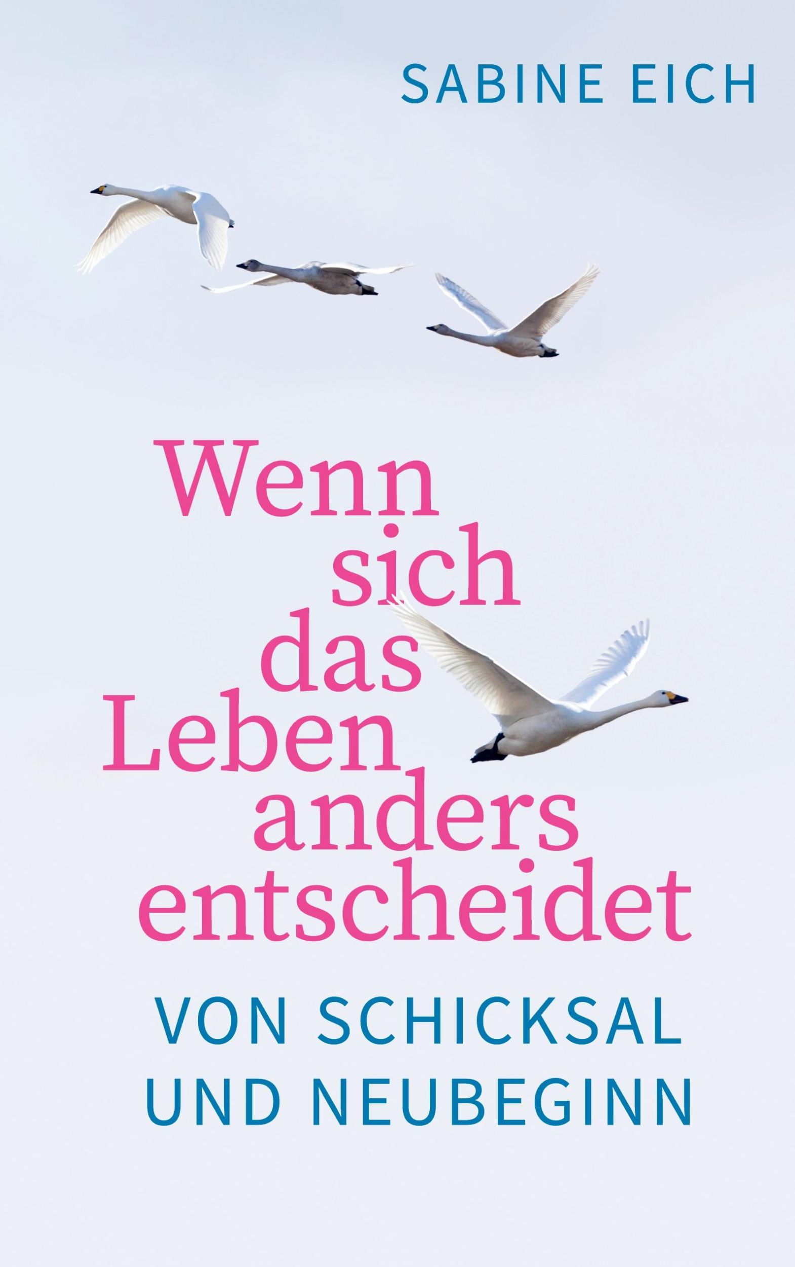 Cover: 9783756206056 | Wenn sich das Leben anders entscheidet | Von Schicksal und Neubeginn