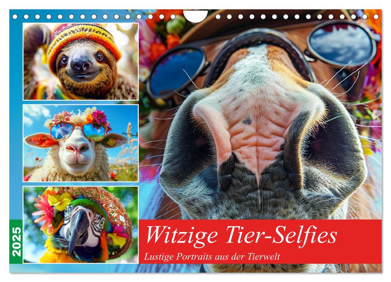 Cover: 9783383965227 | Witzige Tier-Selfies. Lustige Portraits aus der Tierwelt...