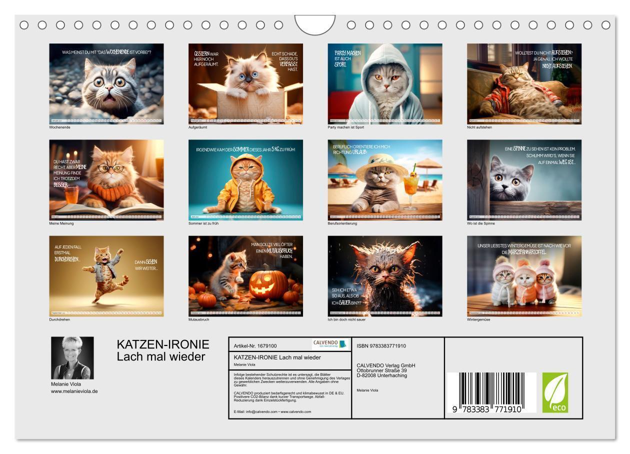 Bild: 9783383771910 | KATZEN-IRONIE Lach mal wieder (Wandkalender 2025 DIN A4 quer),...