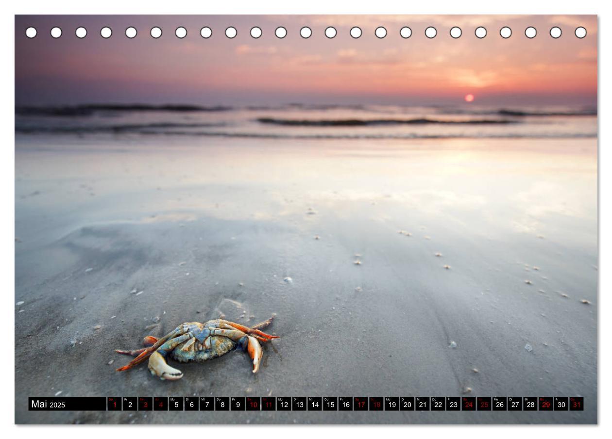 Bild: 9783435217892 | Sankt Peter Ording Sandstrand (Tischkalender 2025 DIN A5 quer),...