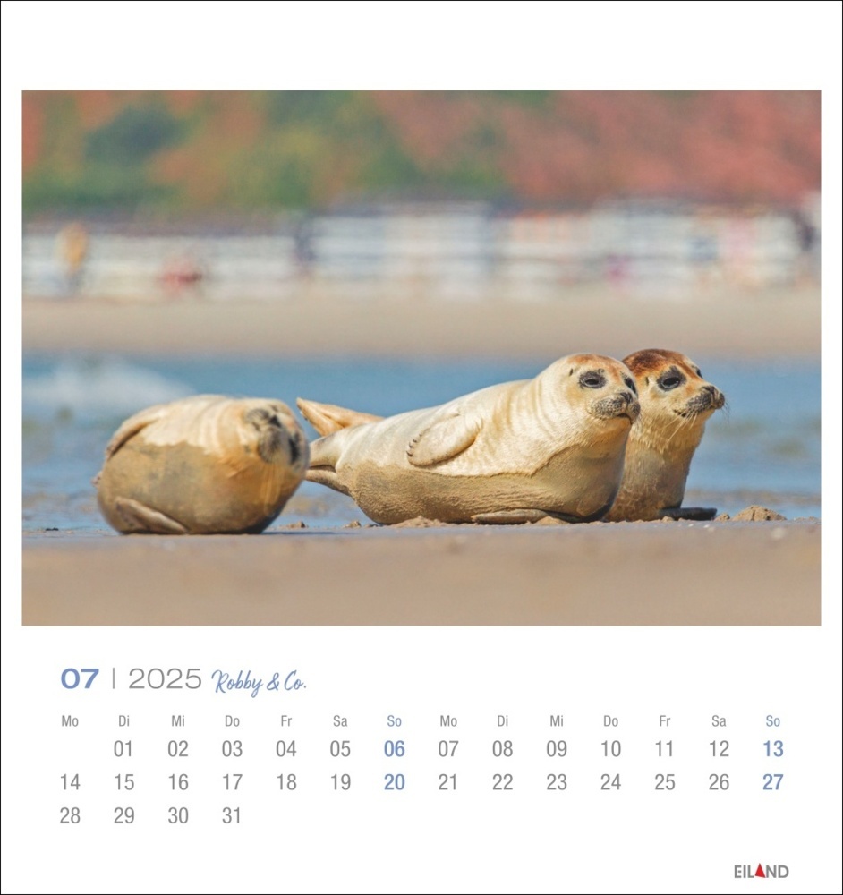 Bild: 9783964023322 | Robby &amp; Co. Postkartenkalender 2025 | Kalender | Spiralbindung | 13 S.