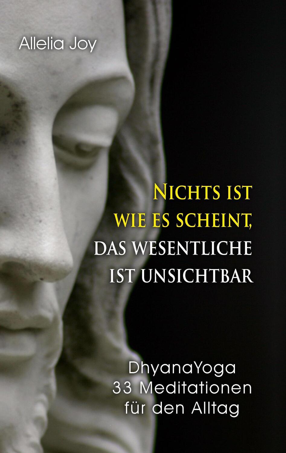 Cover: 9783839190227 | Nichts ist wie es scheint, das Wesentliche ist unsichtbar | Joy | Buch