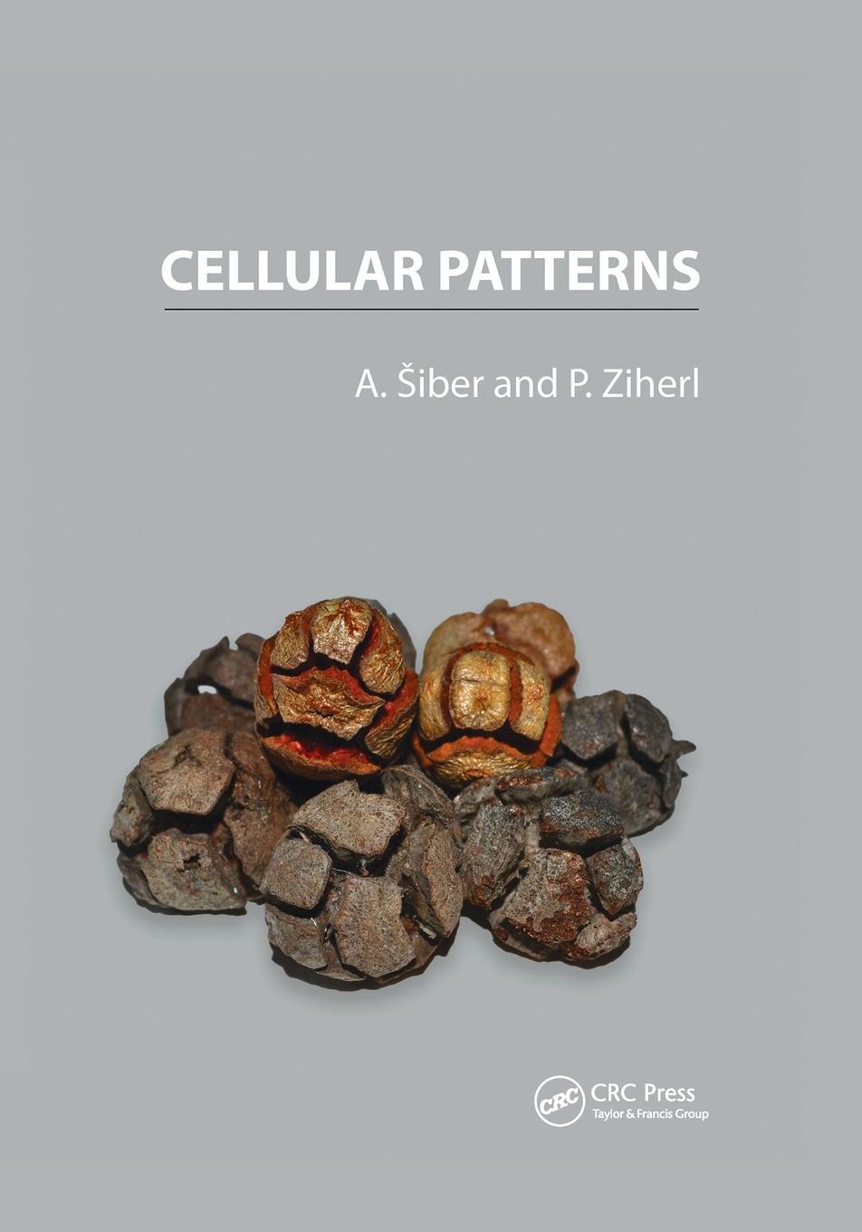 Cover: 9780367572501 | Cellular Patterns | Antonio Siber (u. a.) | Taschenbuch | Paperback