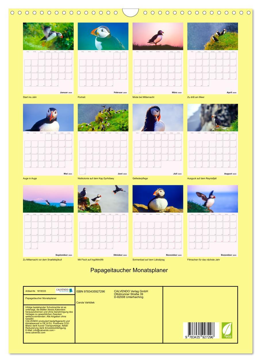 Bild: 9783435927296 | Papageitaucher Monatsplaner (Wandkalender 2025 DIN A3 hoch),...