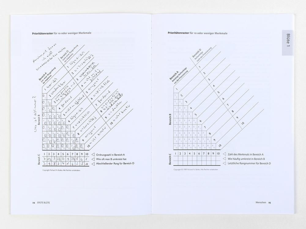 Bild: 9783593514147 | Durchstarten zum Traumjob - Das Workbook | Bolles (u. a.) | Buch