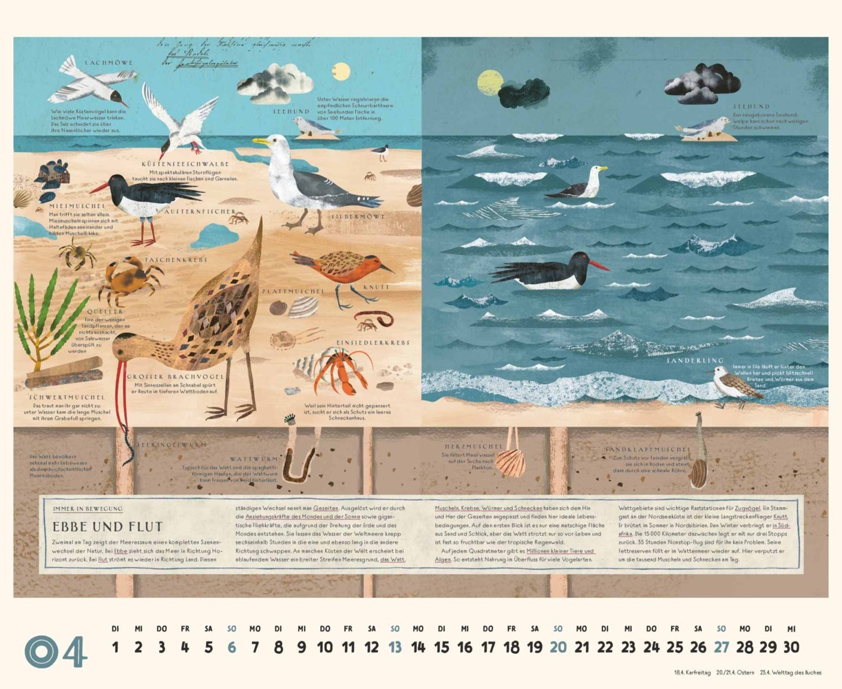 Bild: 4250809653563 | DUMONT - Martin Haake: Am Meer 2025 Wandkalender, 52x42,5cm,...