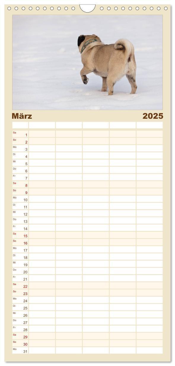 Bild: 9783457113592 | Familienplaner 2025 - Mops mit 5 Spalten (Wandkalender, 21 x 45 cm)...