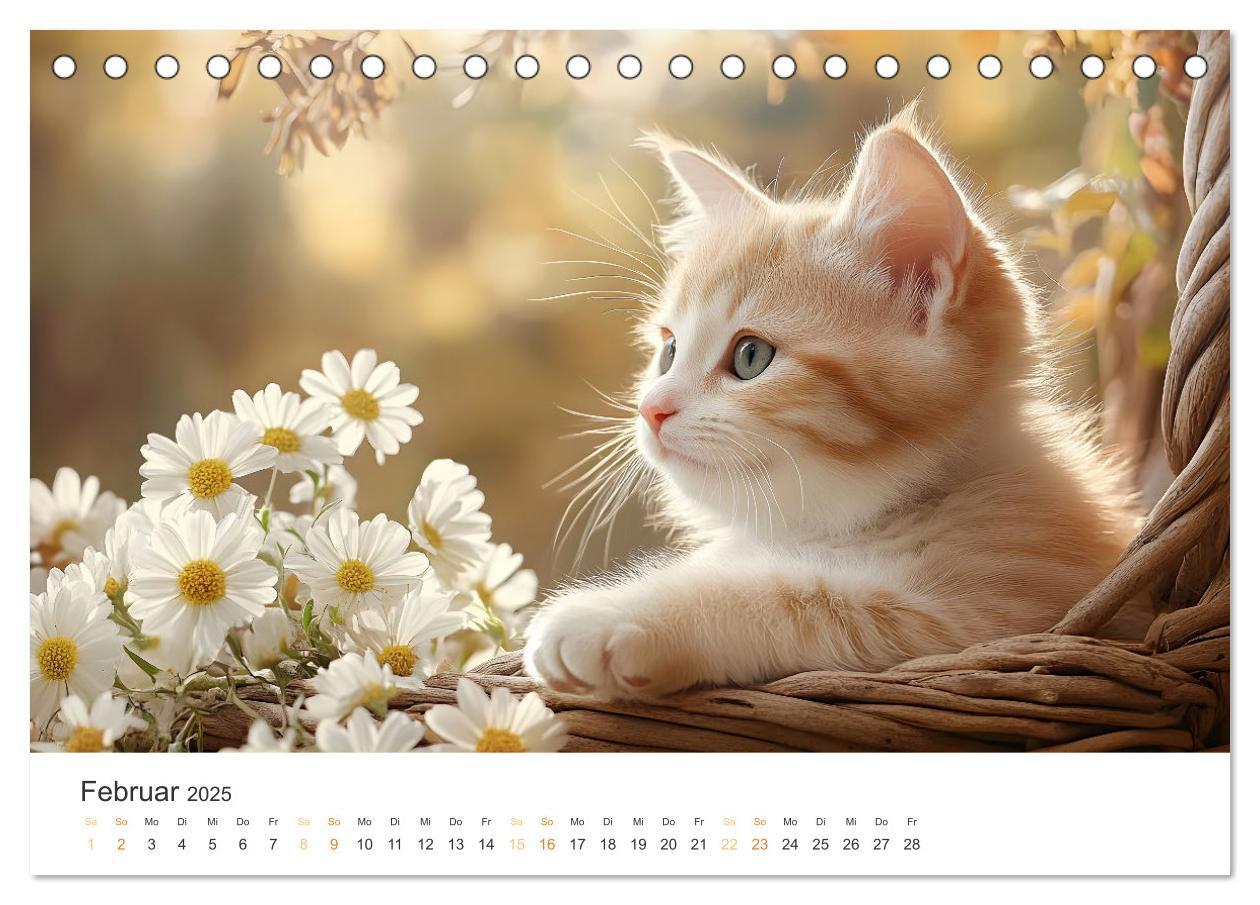 Bild: 9783457203897 | Katzen - sanfte Schönheiten (Tischkalender 2025 DIN A5 quer),...