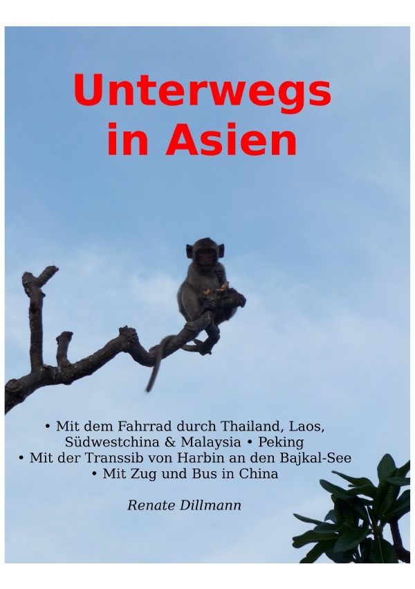 Cover: 9783756528691 | Unterwegs in Asien | Ein Reisebericht:. DE | Renate Dr. Dillmann