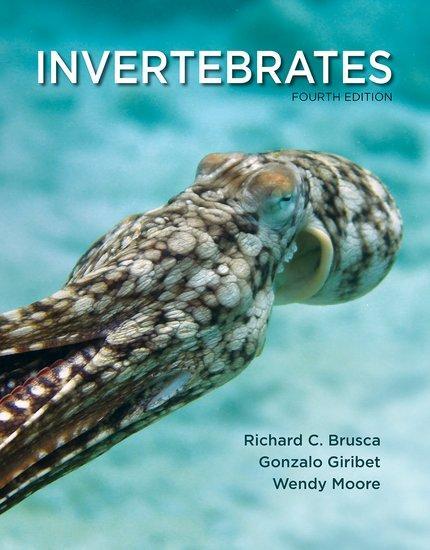 Cover: 9780197554418 | Invertebrates | Gonzalo Giribet (u. a.) | Taschenbuch | Englisch