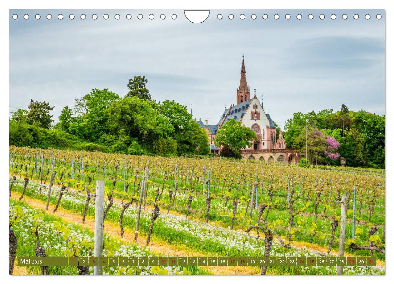 Bild: 9783435389353 | Rheinhessen-Impressionen (Wandkalender 2025 DIN A4 quer), CALVENDO...