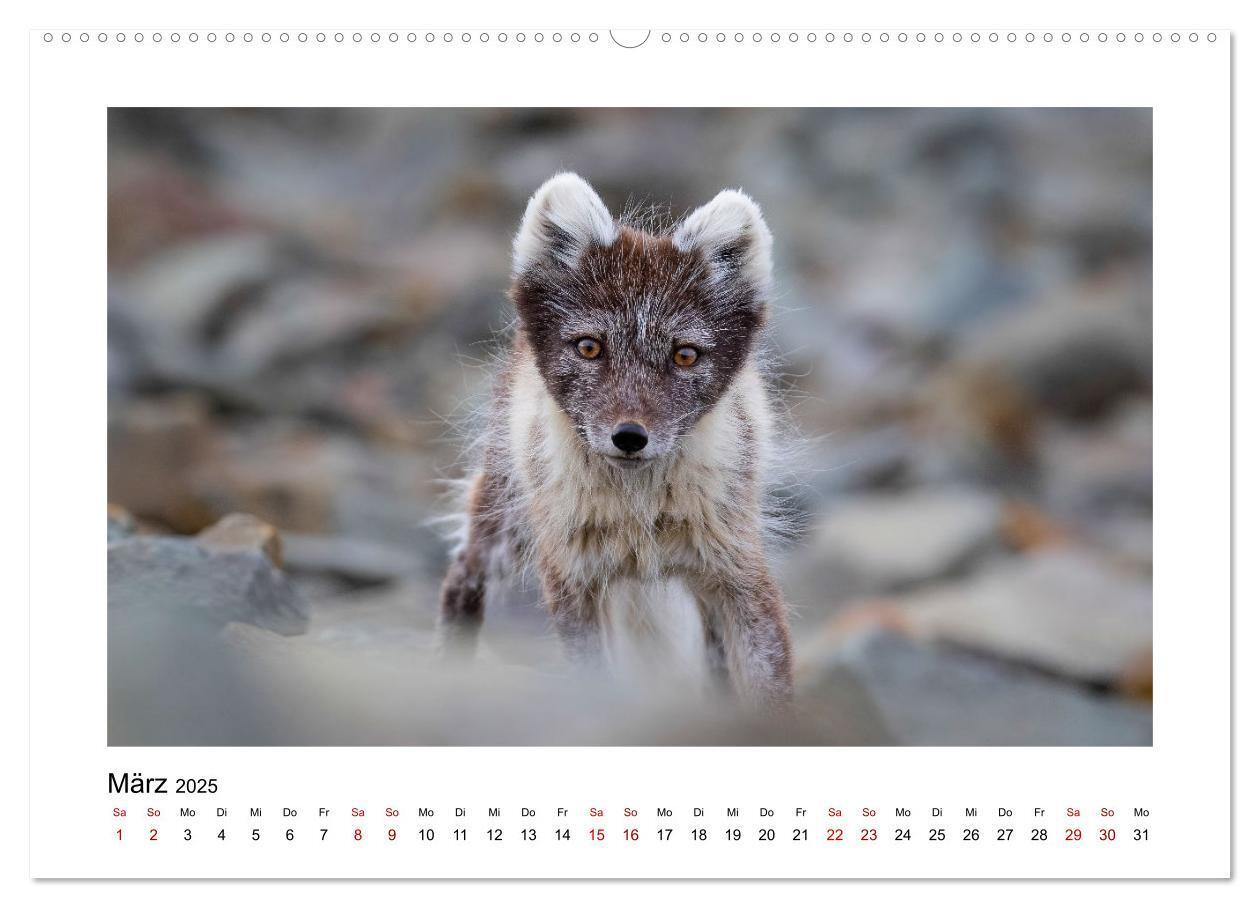 Bild: 9783383885167 | Spitzbergen und der Polarkreis (hochwertiger Premium Wandkalender...