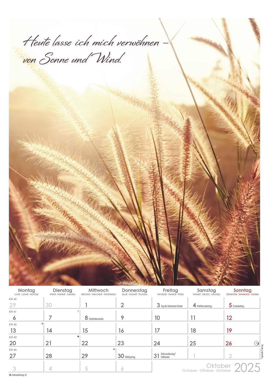 Bild: 4251732343491 | Auszeit für die Seele 2025 - Bildkalender A3 (29,7x42 cm) -...