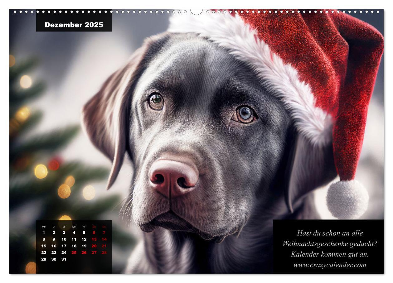 Bild: 9783435367535 | Der witzige Labrador-Kalender (Wandkalender 2025 DIN A2 quer),...