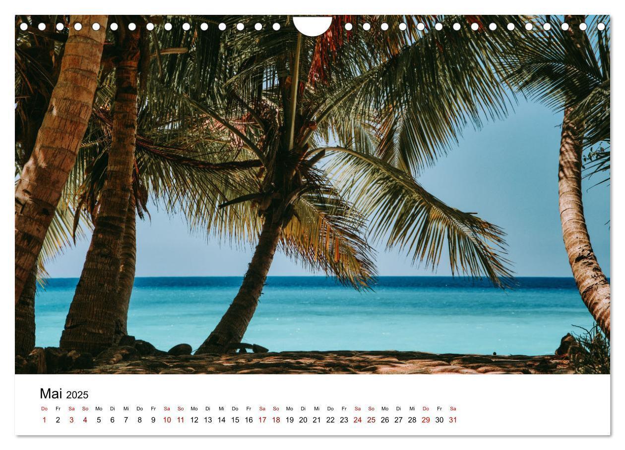 Bild: 9783383998409 | Naturparadies Madagaskar (Wandkalender 2025 DIN A4 quer), CALVENDO...