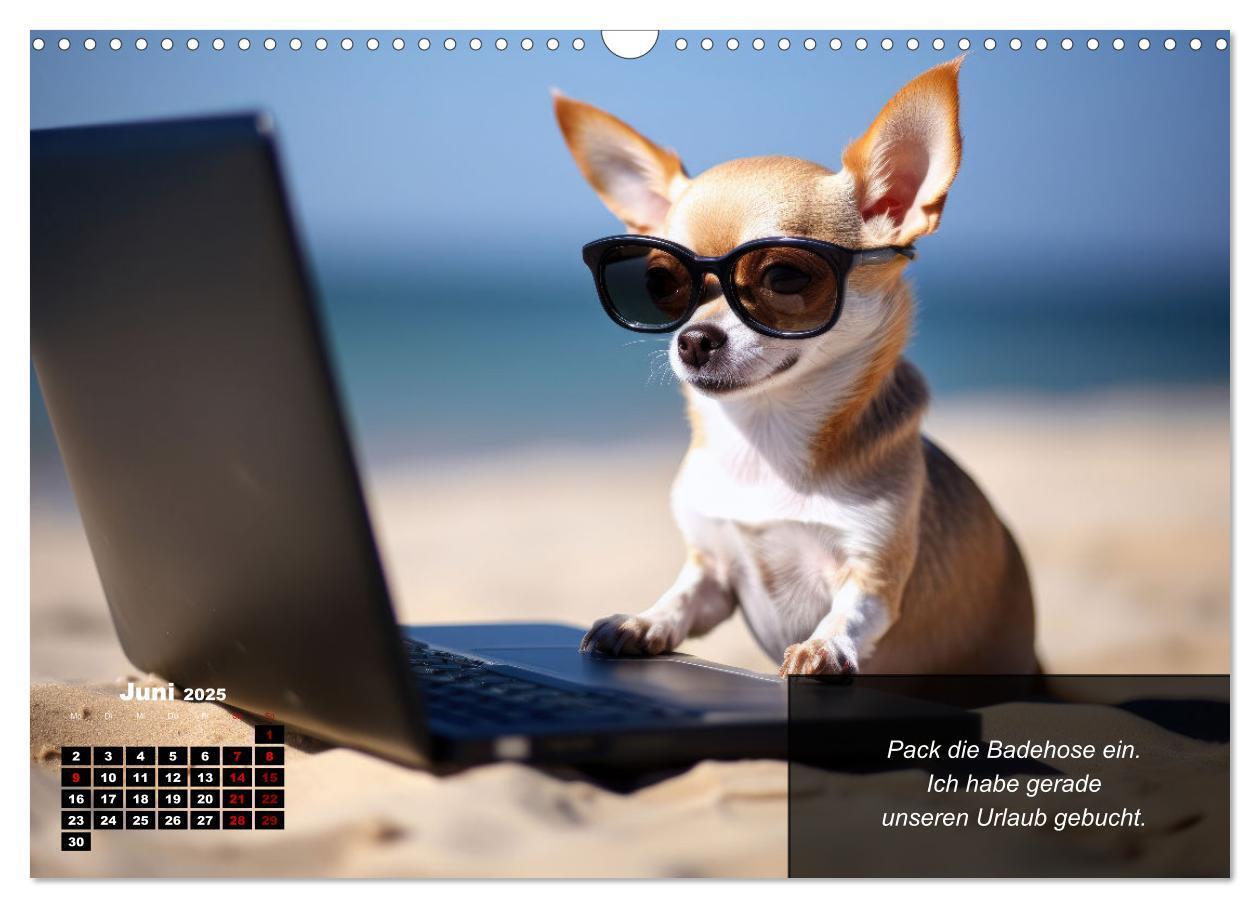 Bild: 9783457129425 | Lustige Chihuahua-Momente (Wandkalender 2025 DIN A3 quer), CALVENDO...