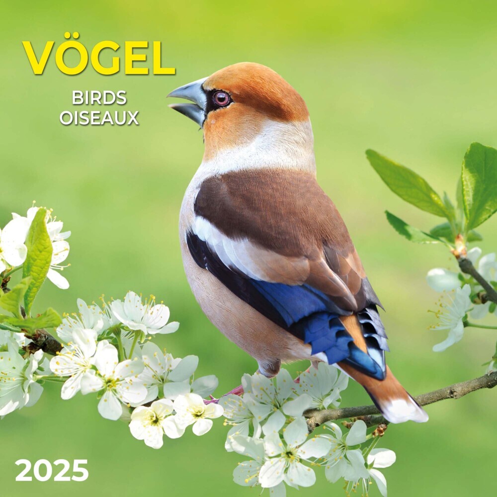 Cover: 9783959294713 | Vögel 2025 | Kalender 2025 | Kalender | Drahtheftung | 28 S. | 2025