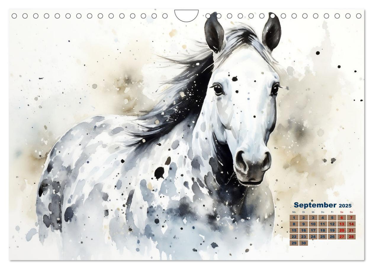 Bild: 9783435011780 | Kraftpakete in Aquarell (Wandkalender 2025 DIN A4 quer), CALVENDO...